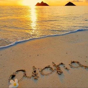 NSF - hold for @kaylariveraaaa